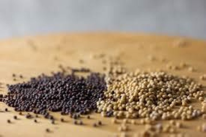 Is the mustard seed the smallest of all seeds