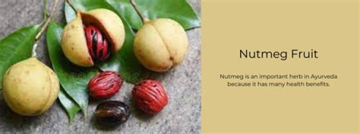 Is the nutmeg fruit edible