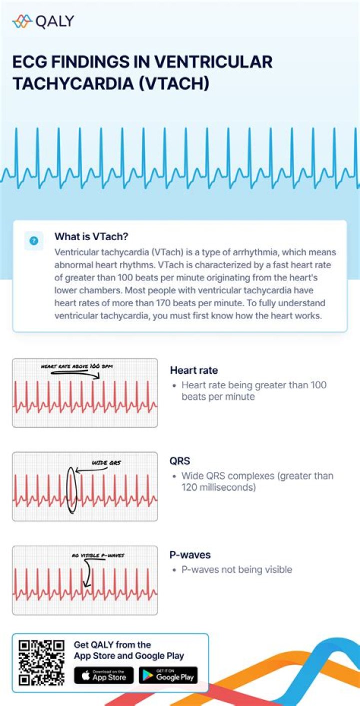 Is there an essay on Tachs
