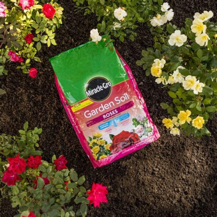 Is top soil good for roses