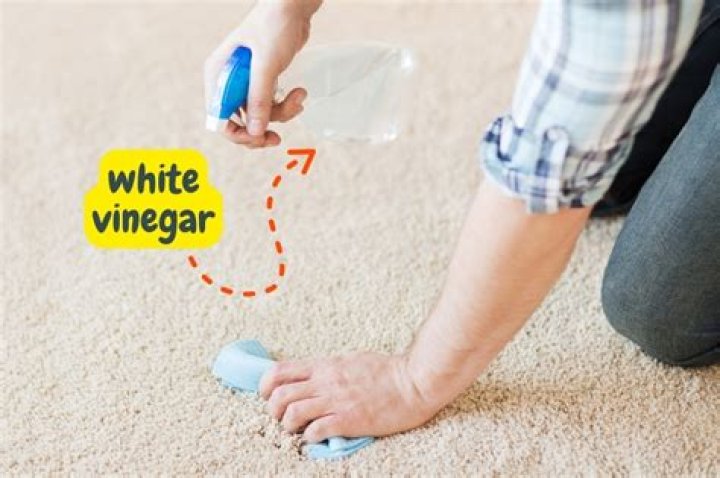 Is vinegar safe for carpet