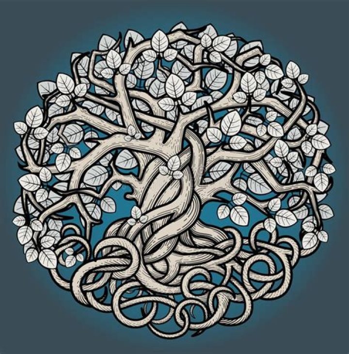 Is Yggdrasil an ash tree