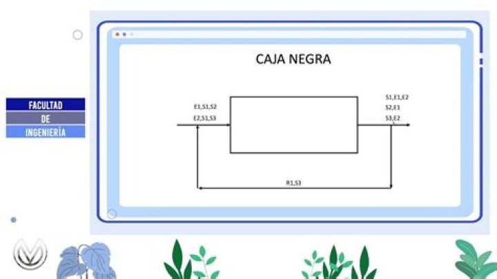 ¿Qué hay en una caja negra
