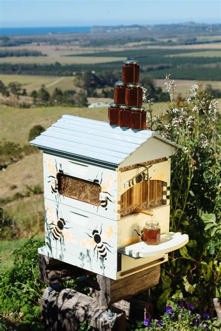 Should I paint my flow hive