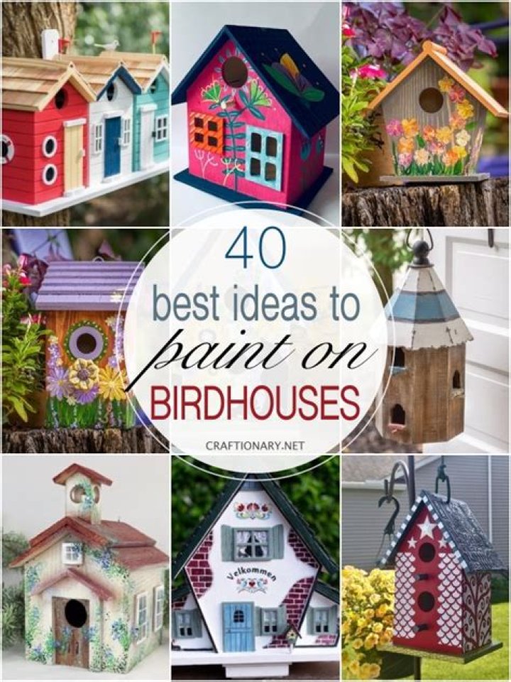 Should you paint birdhouses