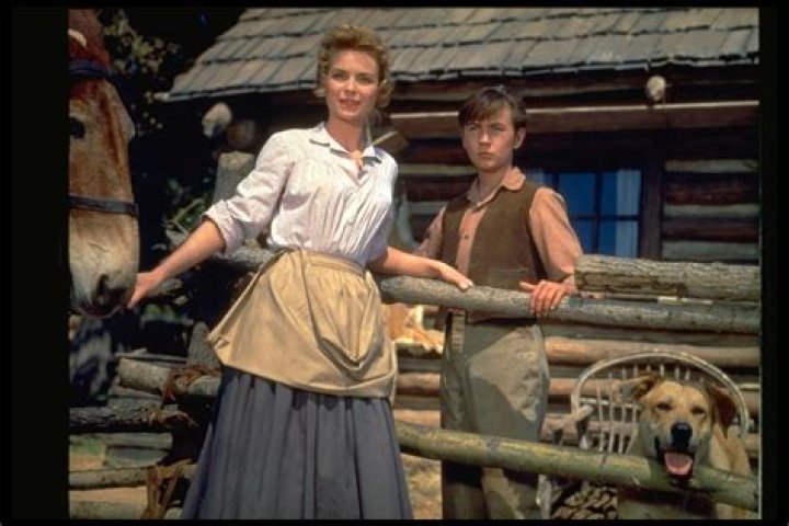 Was Old Yeller a true story