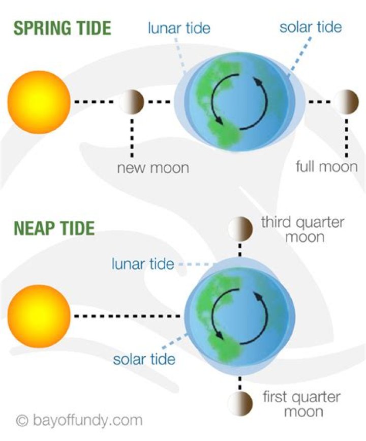 What 3 factors cause tides