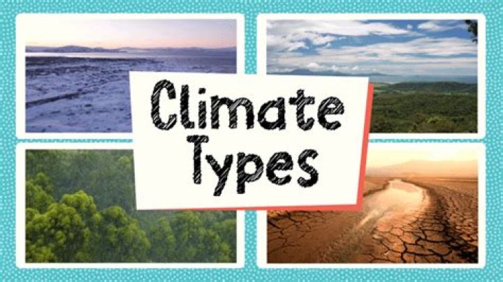 What are 3 types of climate