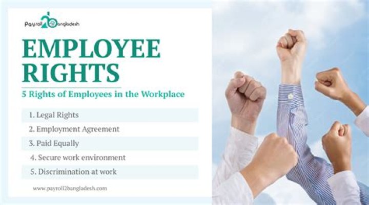What are 4 Employee Rights
