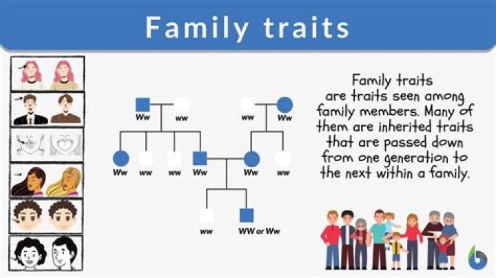 What are 5 inherited traits