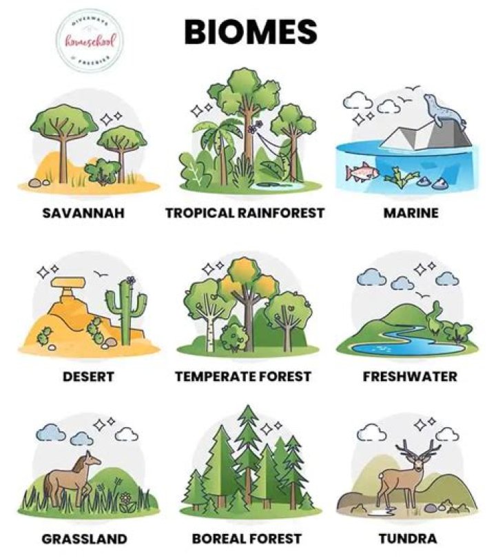 What are 7 types of biomes