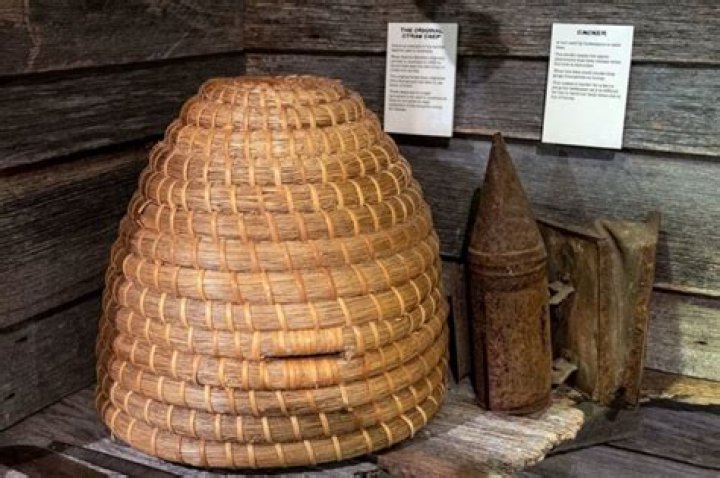 What are bee Skeps made of