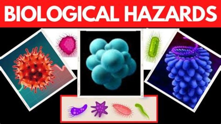 What are biological reasons