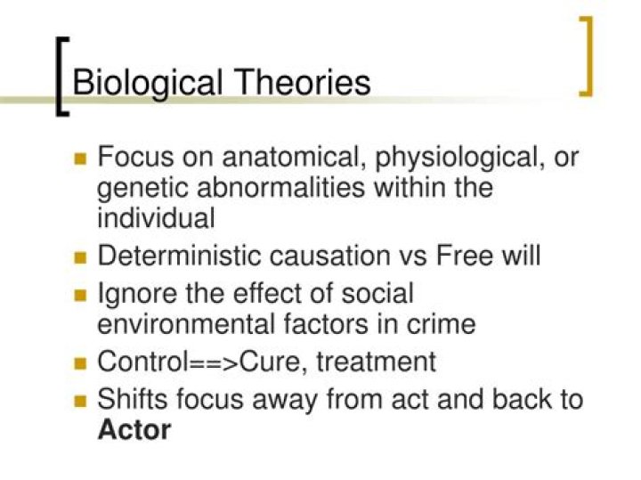 What are biological theories of crime