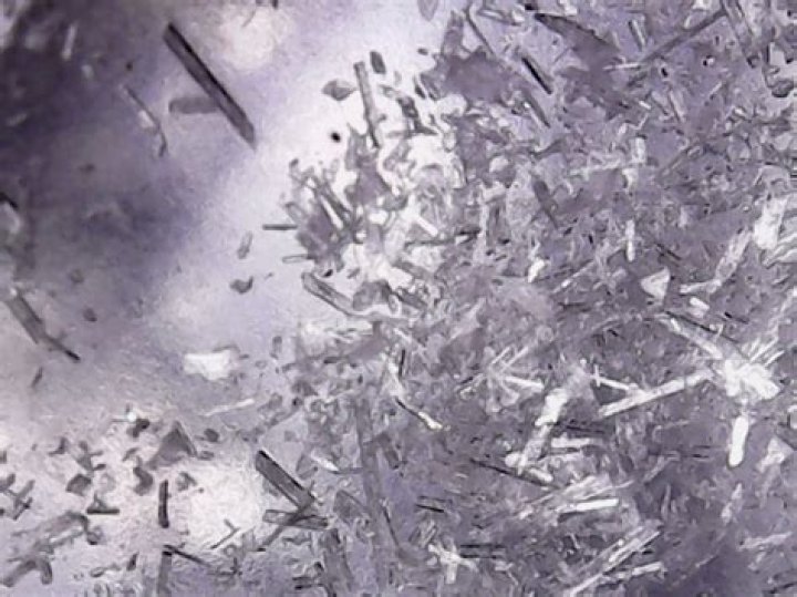 What are capsaicin crystals