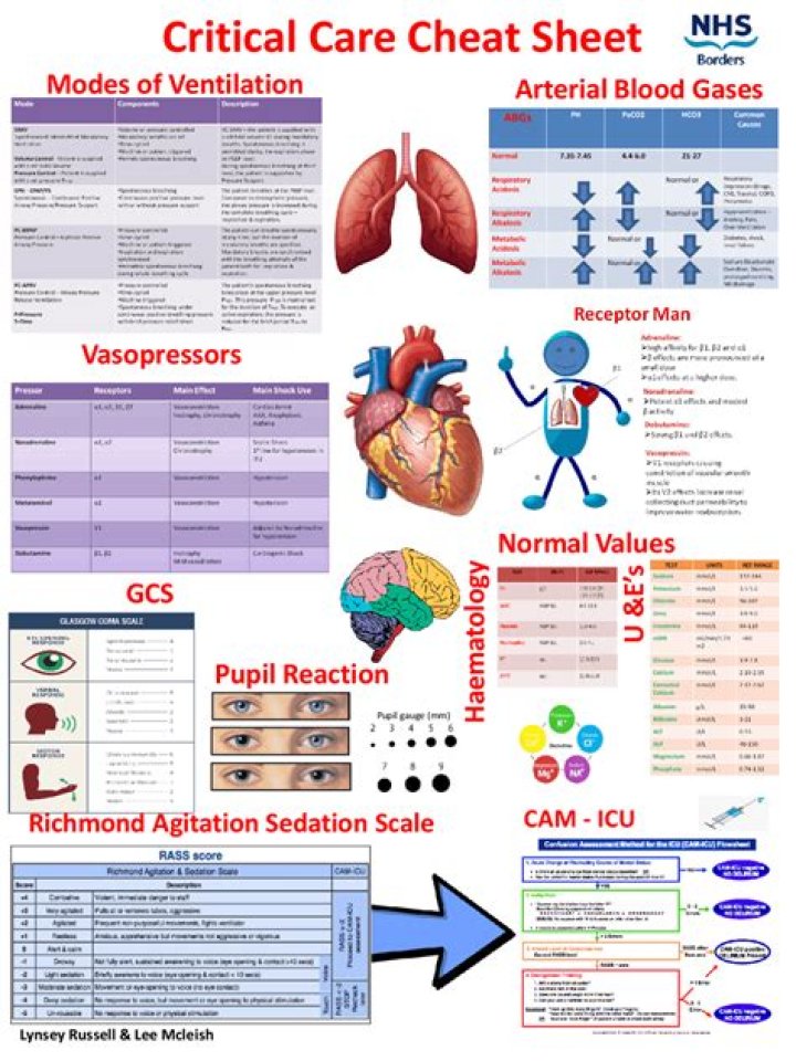 What are critical care procedures
