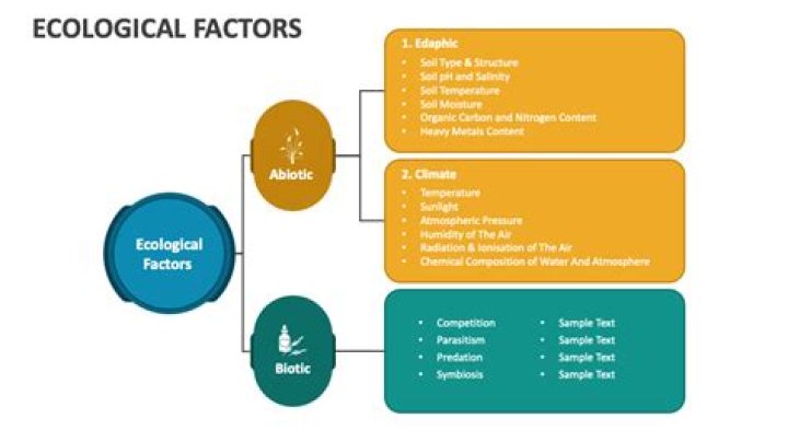 What are ecological factors