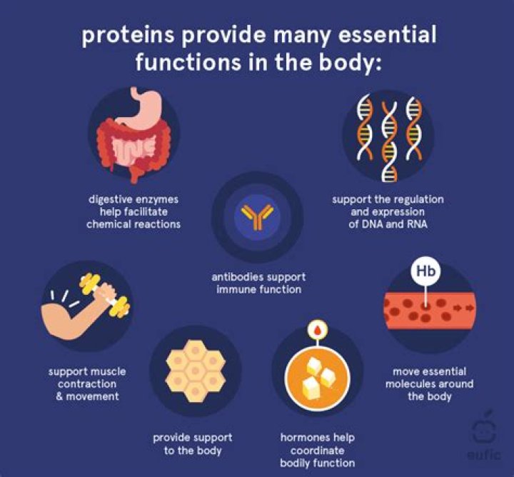 What are essential proteins