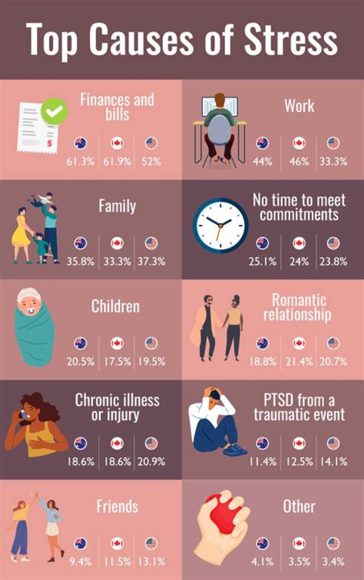 What are everyday stressors