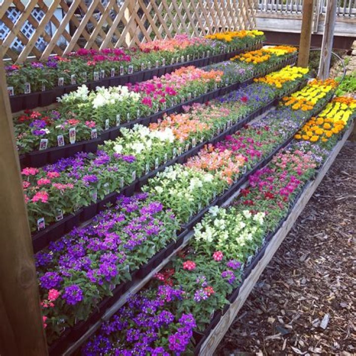 What are flats in gardening
