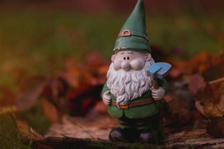 What are gnomes a symbol of