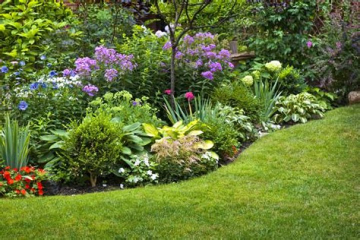 What are landscaping plants