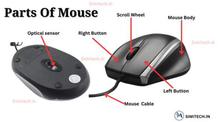 What are mouse attracted to