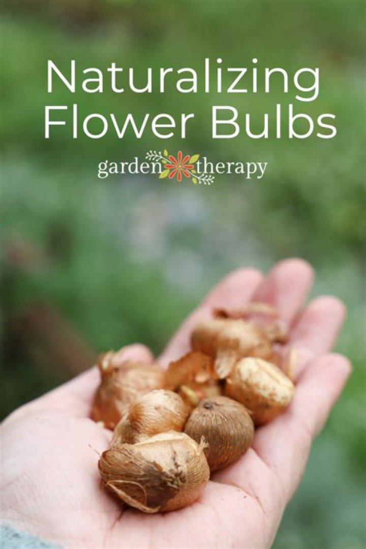 What are naturalizing bulbs