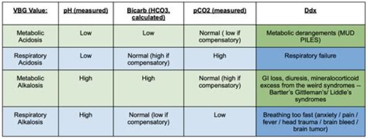 What are normal hco3 levels