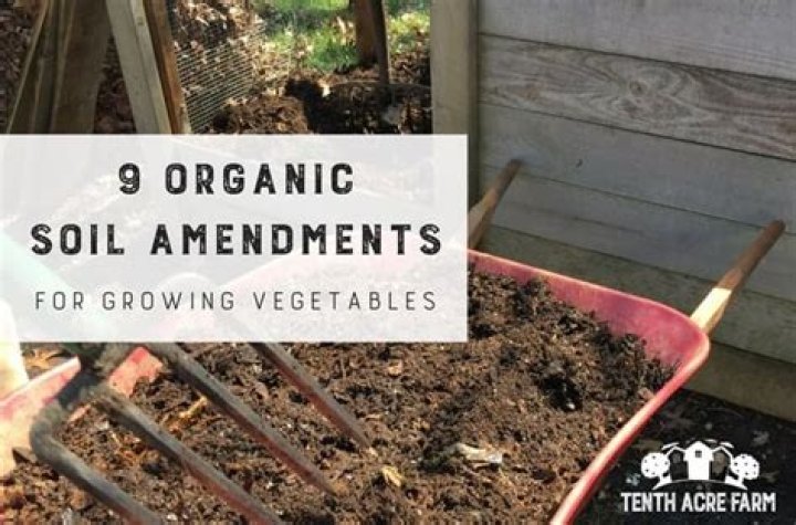 What are organic amendments