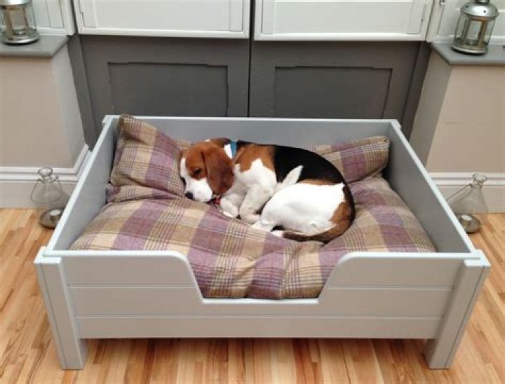 What are pet beds made of
