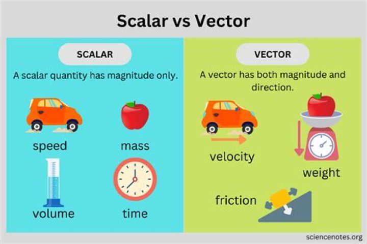 What are scalars in physics