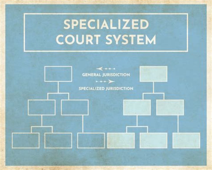 What are Speciality courts