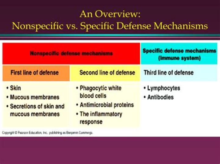 What are specific and nonspecific defenses