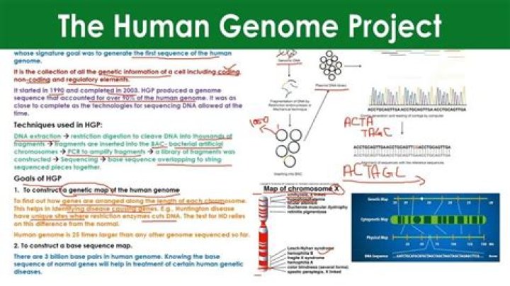 What are the 2 major goals of the Human Genome Project