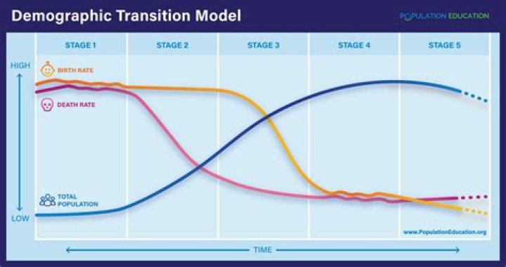 What are the 4 stages of the demographic transition model