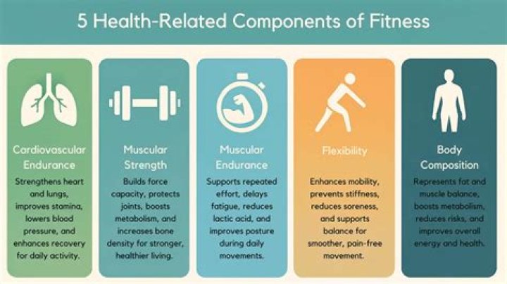 What are the 5 components of the Fitnessgram