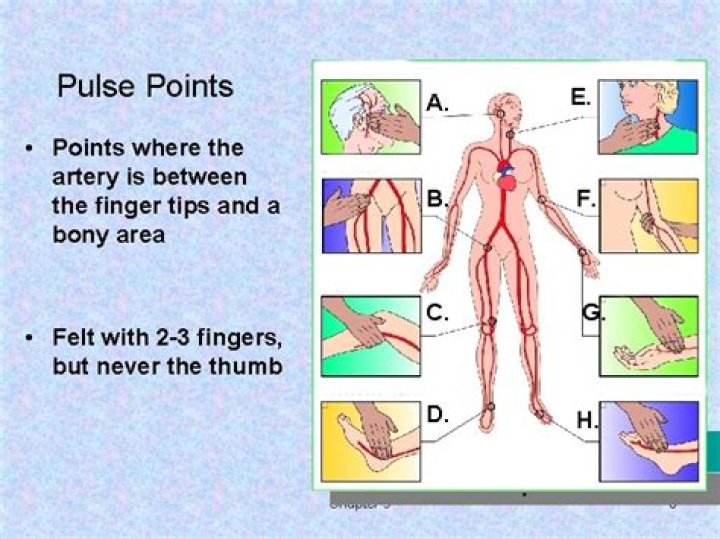 What are the 5 pulse points