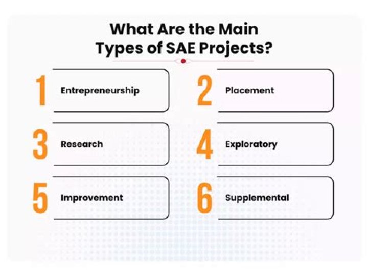 What are the 6 types of SAE