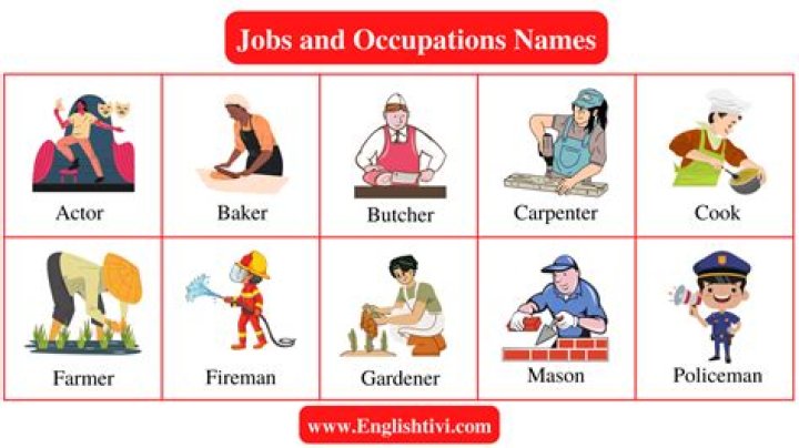 What are the 8 occupations