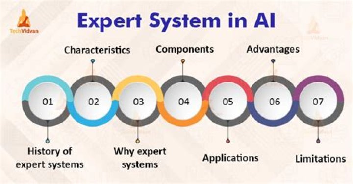 What are the applications of expert systems
