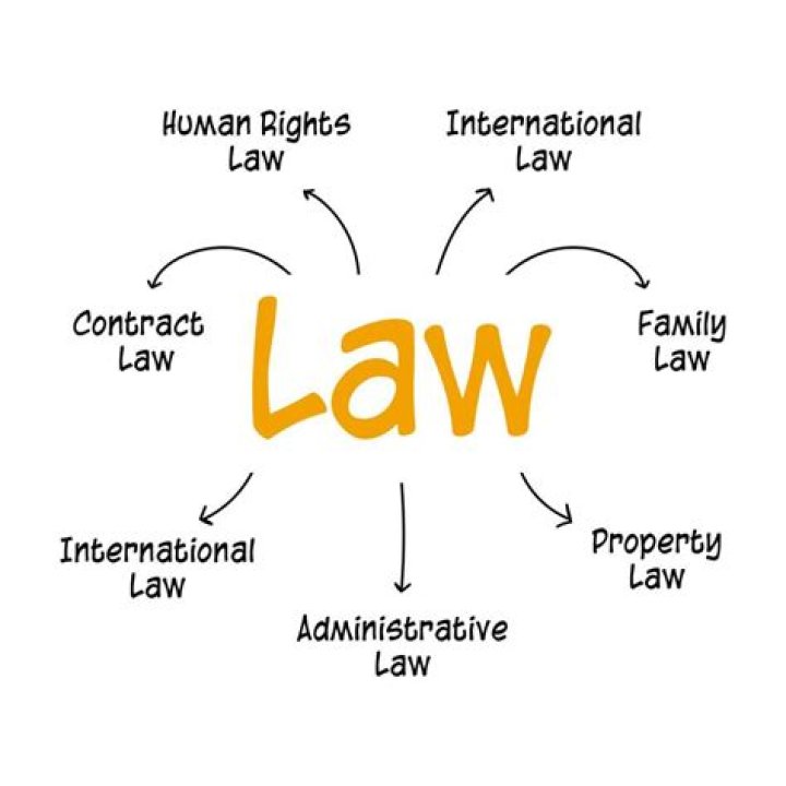 What are the basic laws