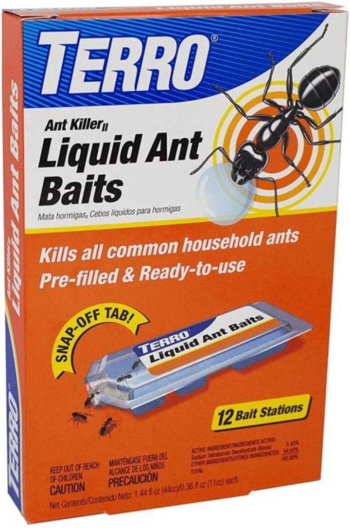 What are the best ant traps
