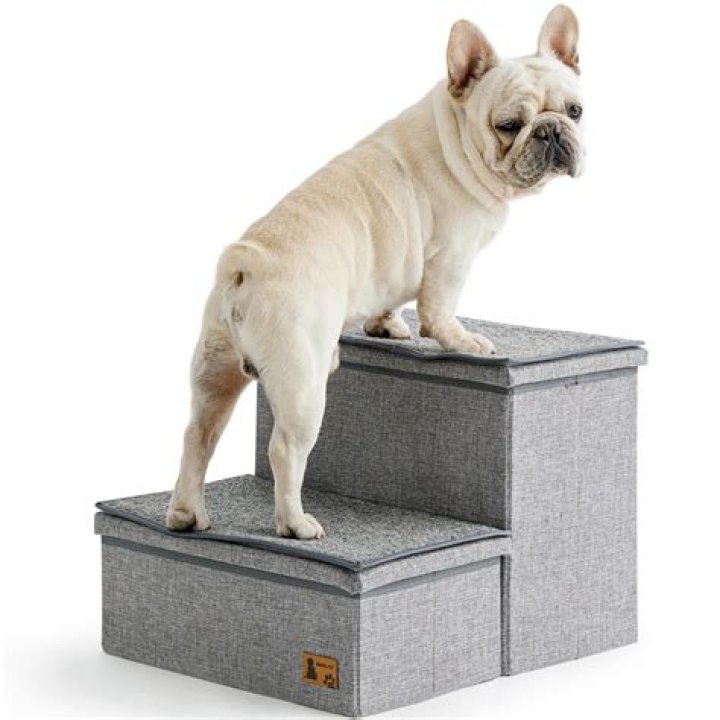 What are the best dog steps