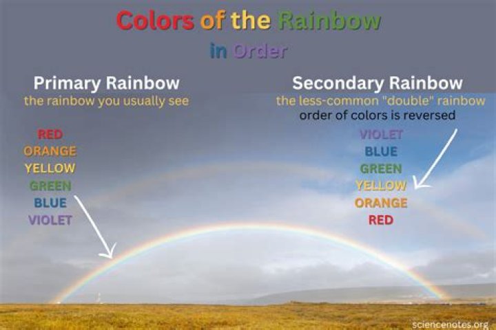 What are the colors of life