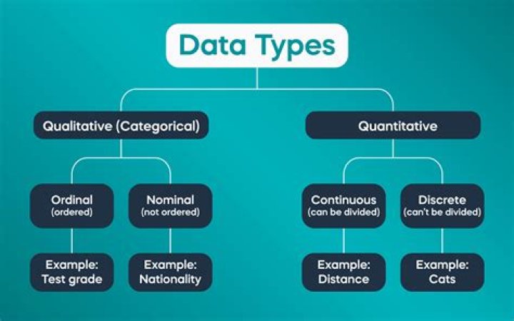 What are the data standards