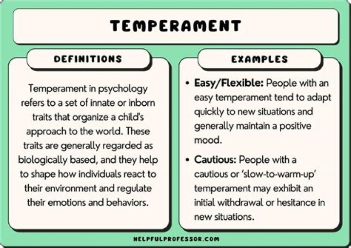 What are the dimensions of temperament