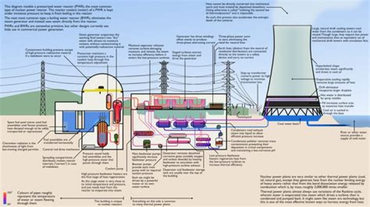 What are the five main components of a nuclear power plant