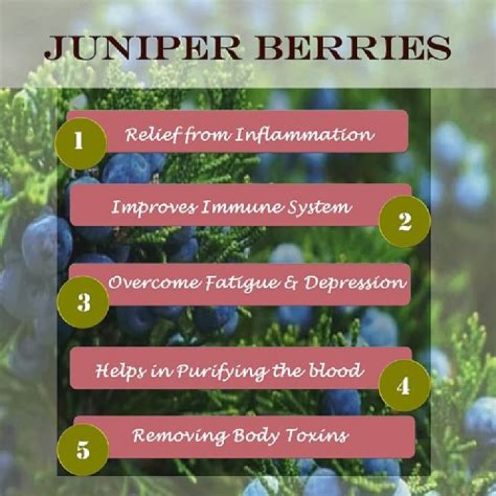 What are the health benefits of juniper berries