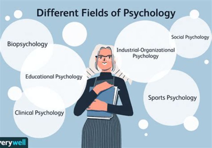 What are the major fields of I O psychology
